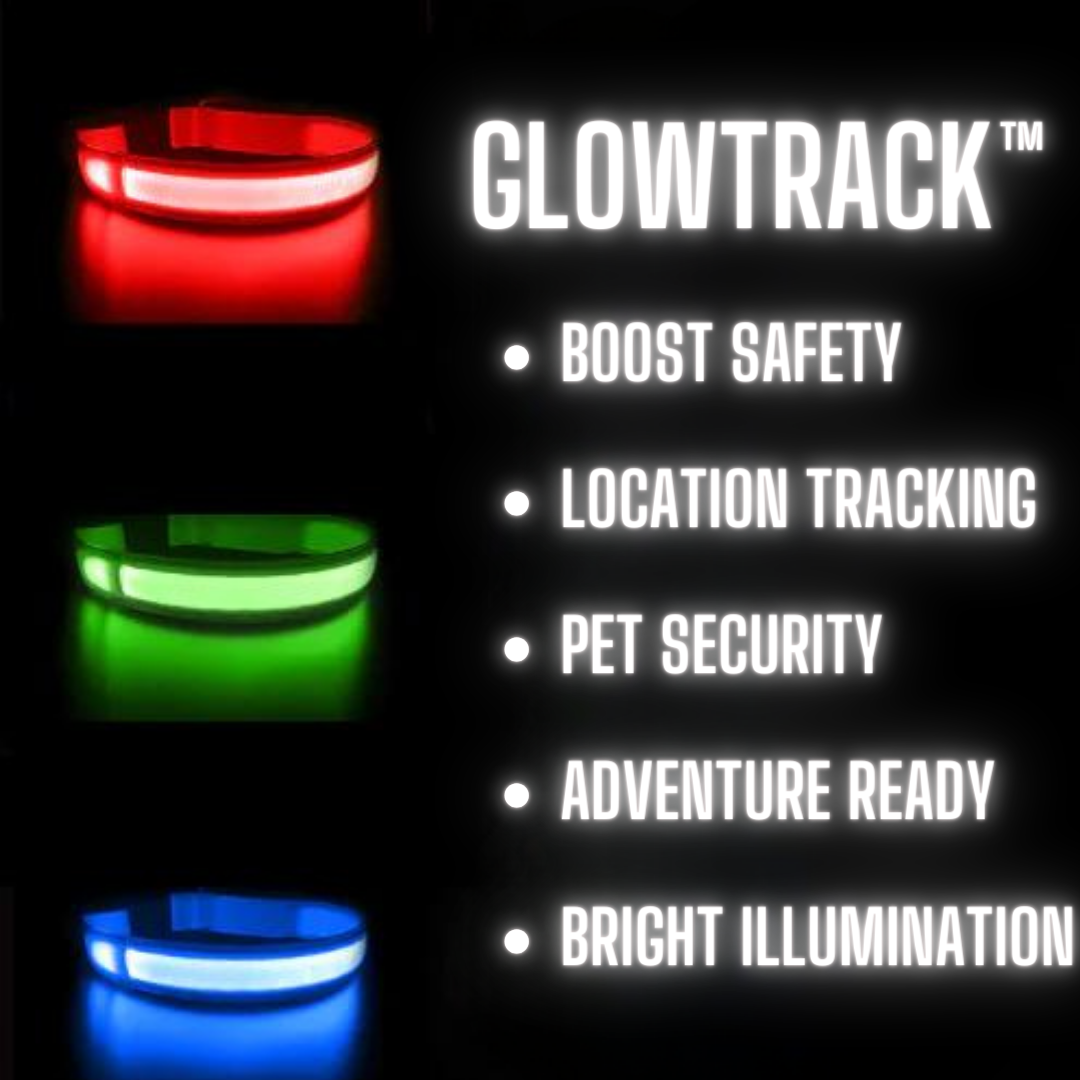 GlowTrack™ Collar: Luminous AirTag Dog Collar with Night Safety Lights