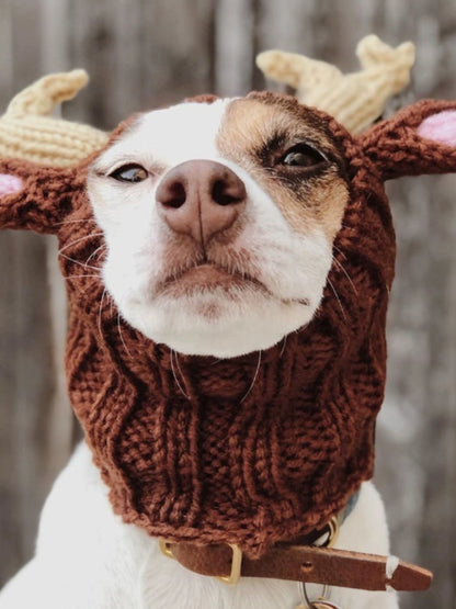 Cute Pet Knitted Cosplay Hat