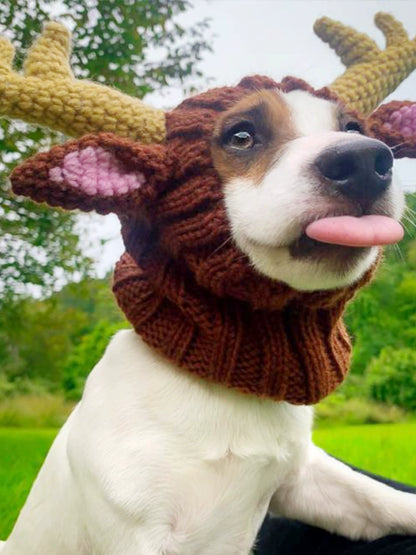 Cute Pet Knitted Cosplay Hat