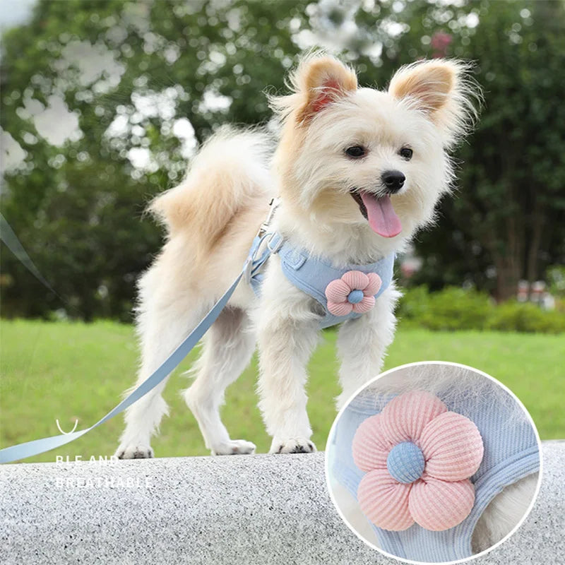 Breathable Dog Harness and Leash Set with Flower Design