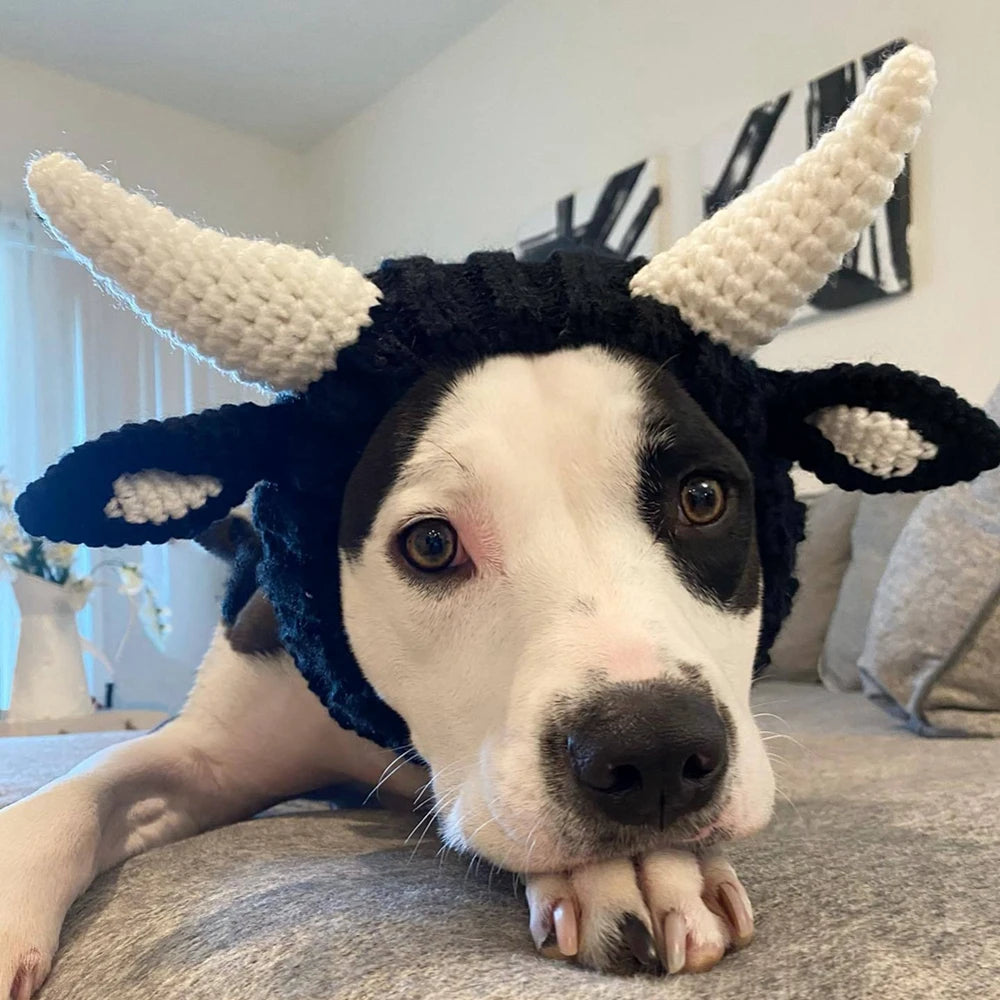 Knitted Winter Hat with Rabbit Ears for Dogs and Cats