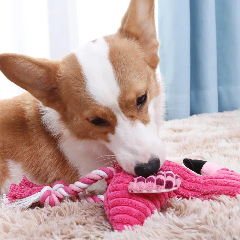 Plush Squeaky Toy for Dogs