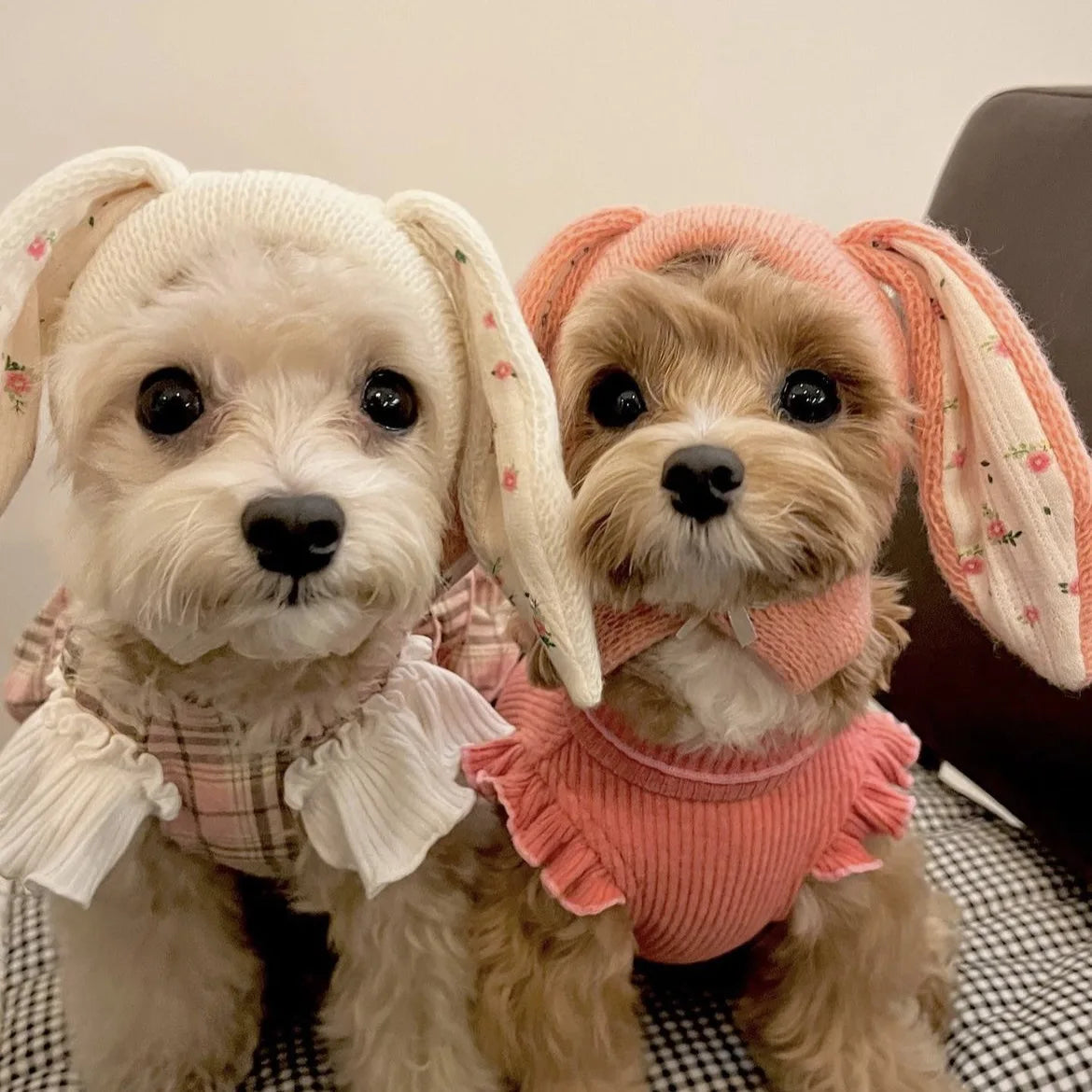 Cute Rabbit Ears Pet Knitted Hat for Autumn and Winter