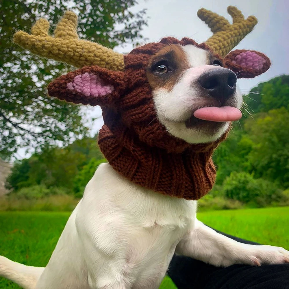 Knitted Winter Hat with Rabbit Ears for Dogs and Cats