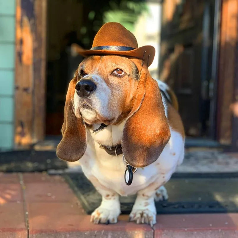 Dog and Cat Cosplay Western Cowboy Hat