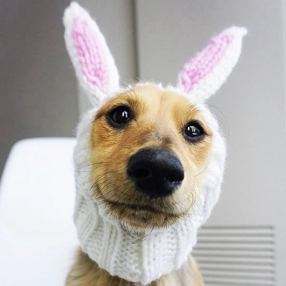 Knitted Winter Hat with Rabbit Ears for Dogs and Cats