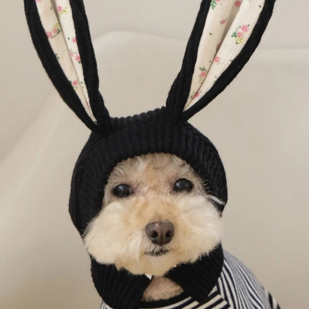 Cute Rabbit Ears Pet Knitted Hat for Autumn and Winter