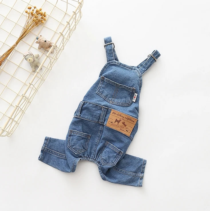 Fashionable Denim Dog Costume for Small Dogs in Blue