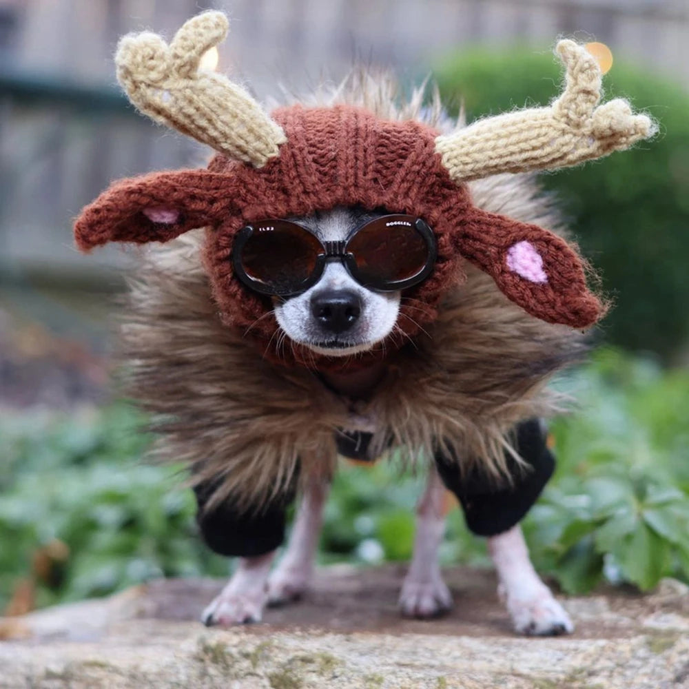 Knitted Winter Hat with Rabbit Ears for Dogs and Cats