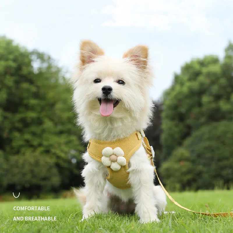 Breathable Dog Harness and Leash Set with Flower Design