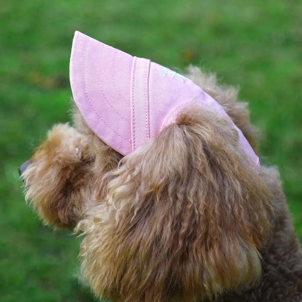 Adjustable Dog Baseball Hat  With Ear Holes