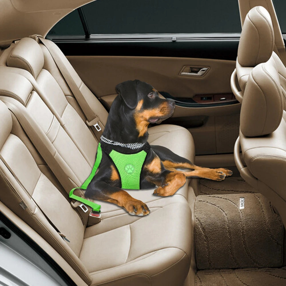 Breathable Mesh Dog Harness Vest - Adjustable Safety Harness for Car Travel