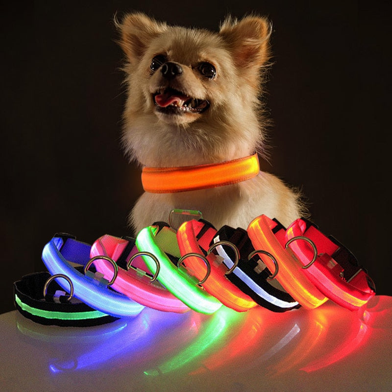 LL LED Safety Dog Collar - USB