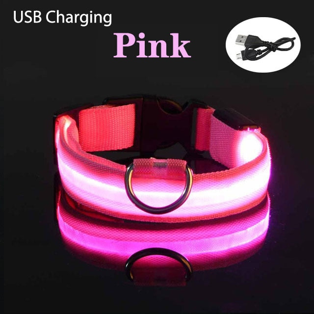 LL LED Safety Dog Collar - USB