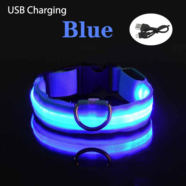 LL LED Safety Dog Collar - USB