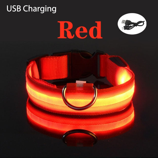 LL LED Safety Dog Collar - USB