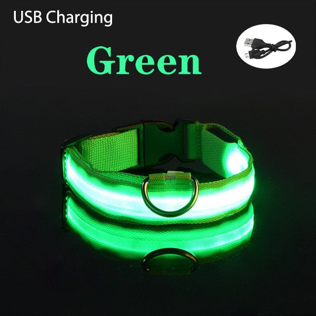 LL LED Safety Dog Collar - USB