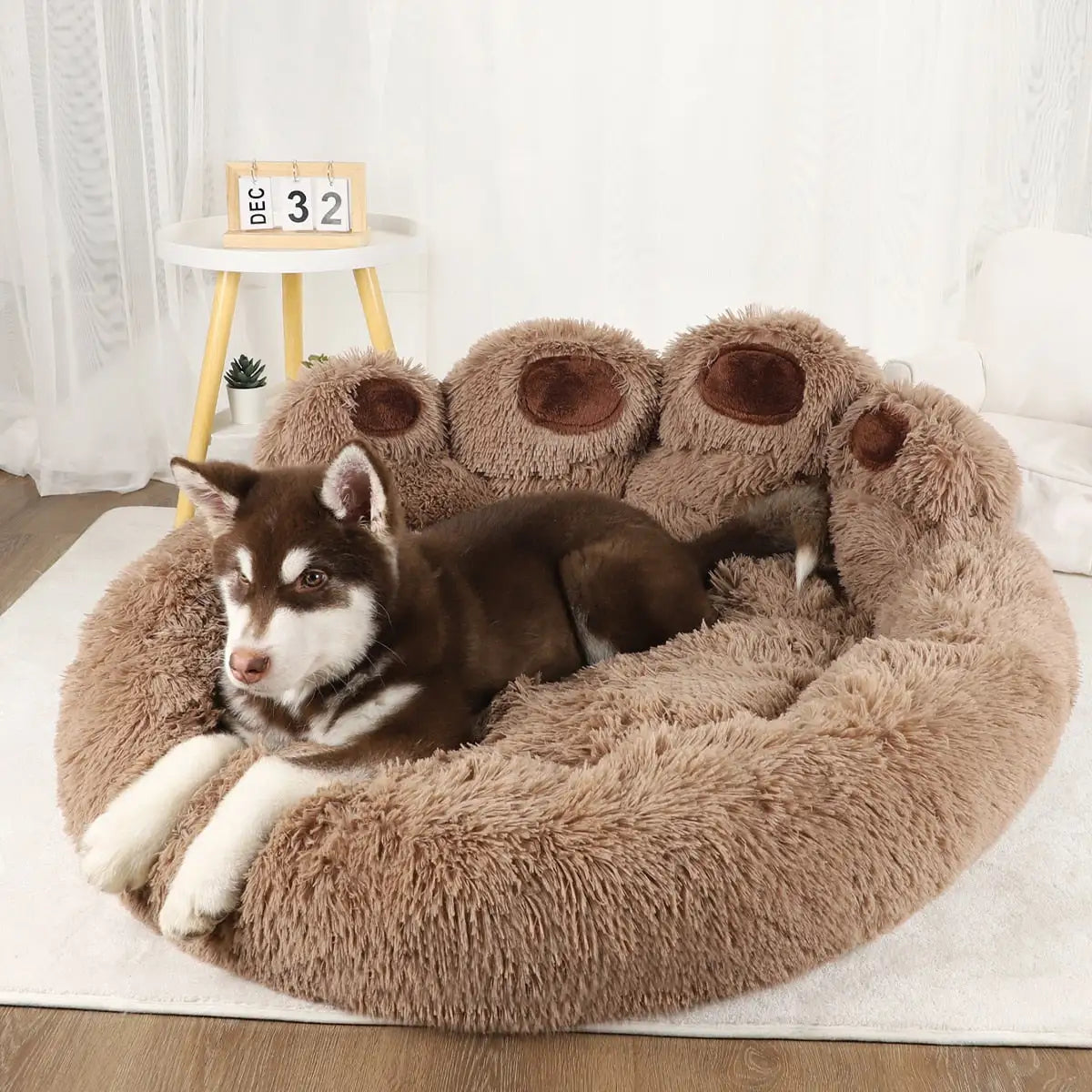 Dog Sofa Comfy Paw Bed